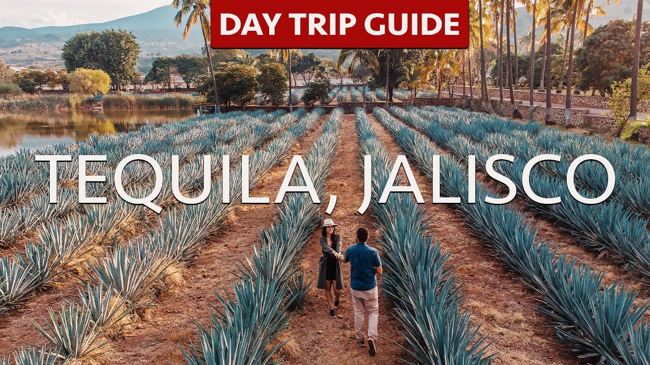 TEQUILA, JALISCO | Day Trip Guide | Tequila Tours | La Alborada | Fortaleza