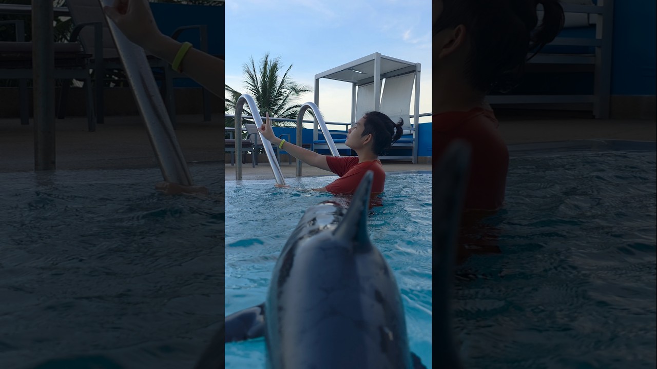 Shark Attack! Got you Haha | J Jai Pan เจไจ๋แปน