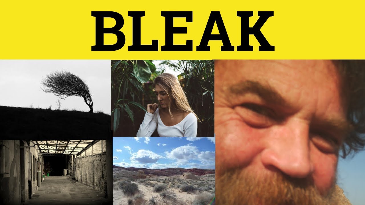🔵 Bleak Meaning - Bleak Examples - Bleak Definition - Define Bleak - GRE 3500 Vocabulary - Bleak