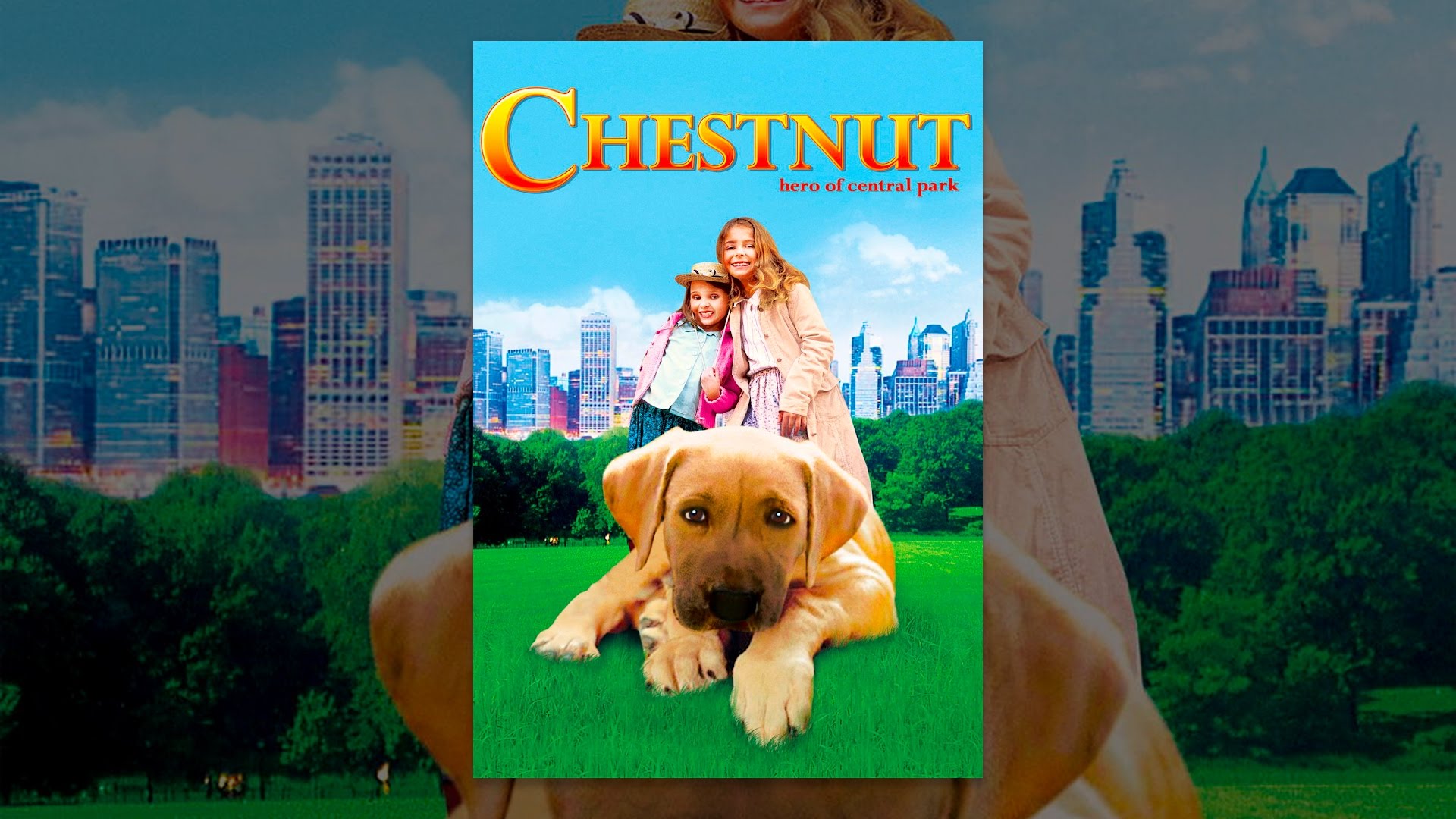 Chestnut: Hero of Central Park