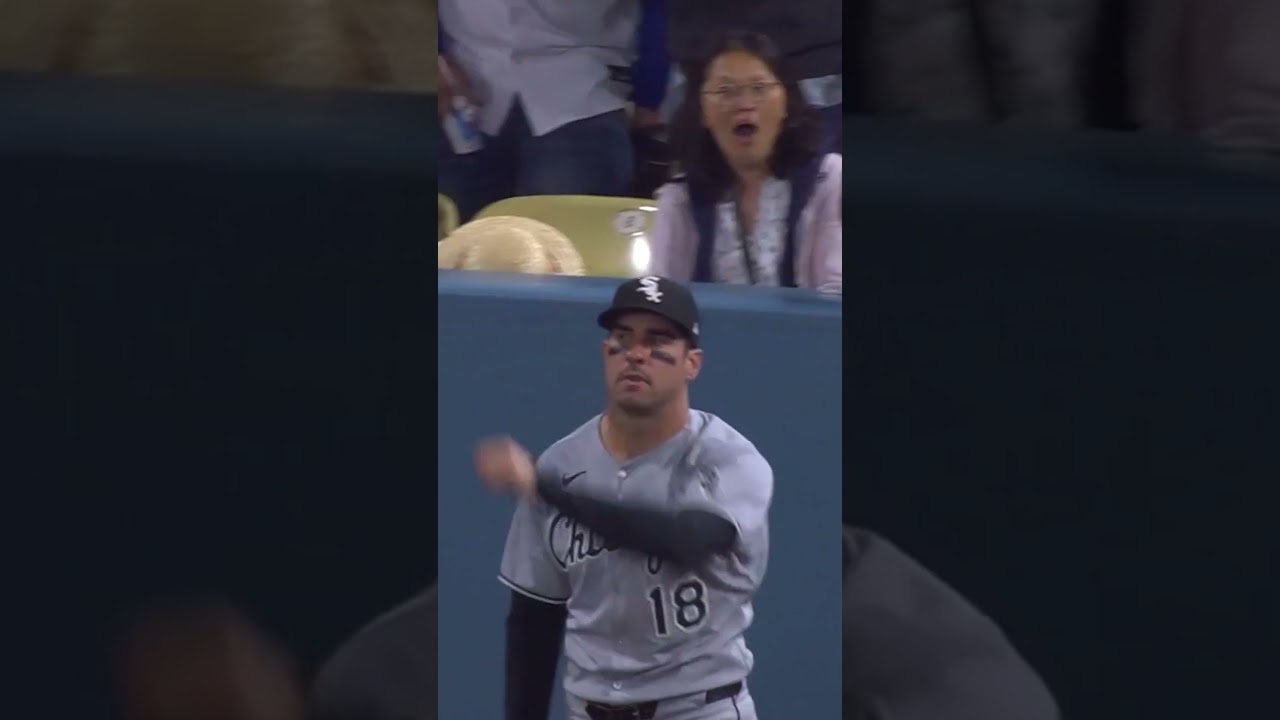 ROBBERY! Mike Tauchman brought it back! 😳
