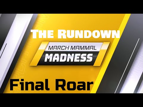 #2025MMM Final Roar