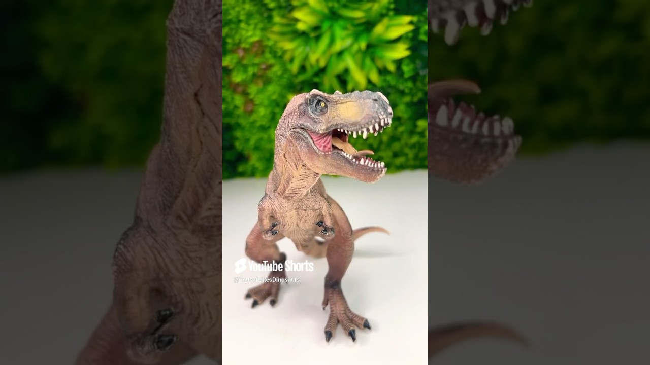 Evolution of Dinosaur Fossils