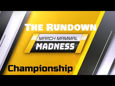 #2025MMM Championship