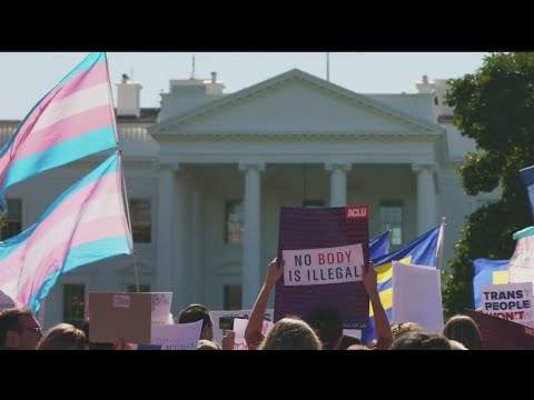 Gender therapist talks Transgender Day of Visibility