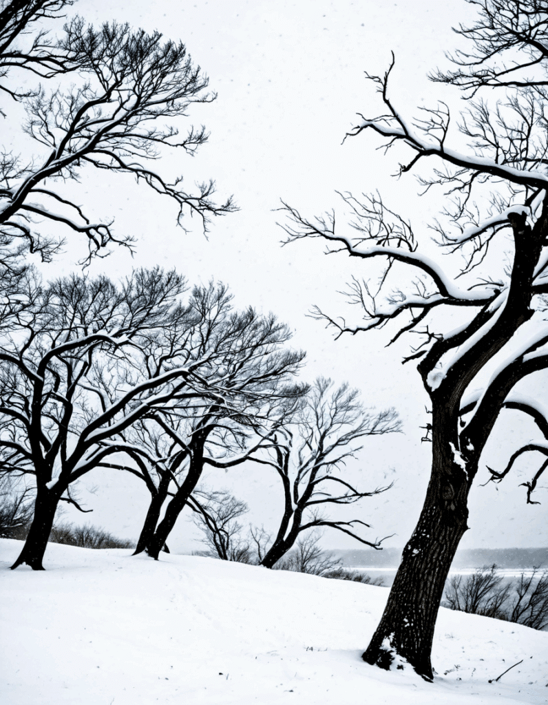 noreaster